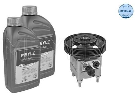 Ford Servo pomp 5146310021S