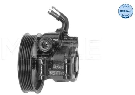 Ford Servo pomp 7146310015