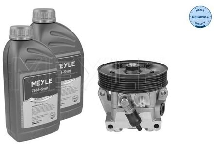 Ford Servo pomp 7146310025S