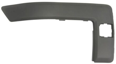 Ford Sier- / beschermingspaneel, bumper 5703052576924P