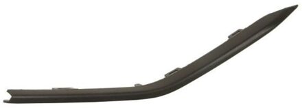 Ford Sier- / beschermingspaneel, bumper 6502072537924P
