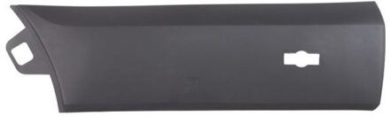 Ford Sier- / beschermingspaneel, deur 6601022518427BP