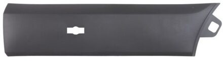 Ford Sier- / beschermingspaneel, deur 6601022518428BP