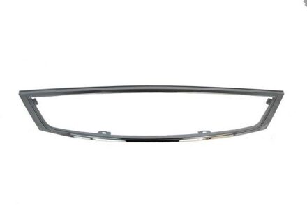 Ford Sier- / Beschermingspaneel, radiateurgrille 6502072555996Q