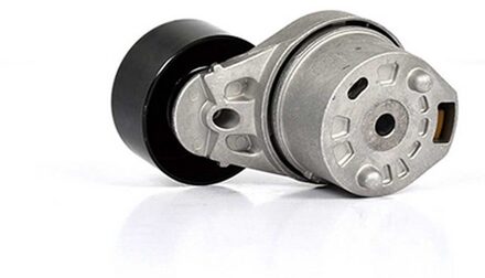 Ford Spanner, Poly V-riem BSG30615011