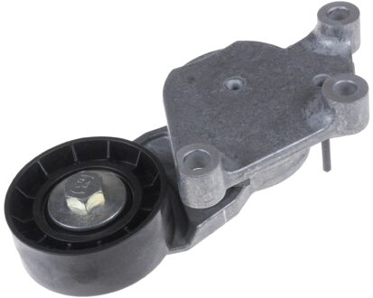 Ford Spanrol, Poly V-riem