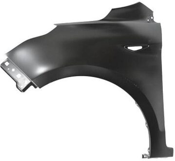 Ford Spatbord 1462007