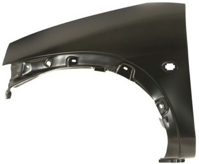 Ford Spatbord 6504042505311P