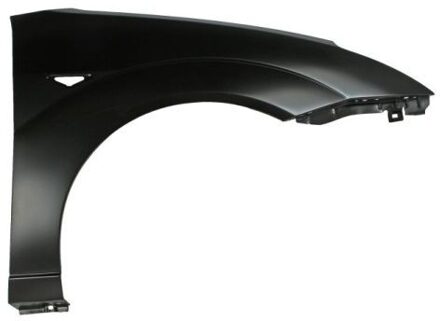 Ford Spatbord 6504042532314P