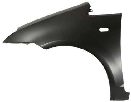 Ford Spatbord 6504042534311P