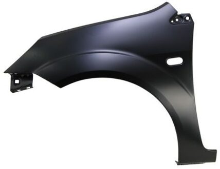 Ford Spatbord 6504042564311Q