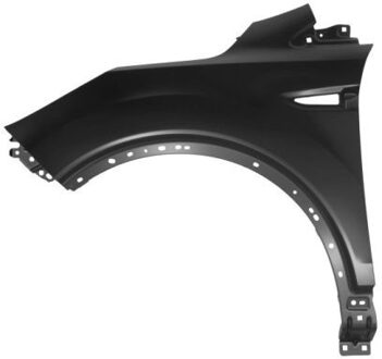 Ford Spatbord 6504042579311P