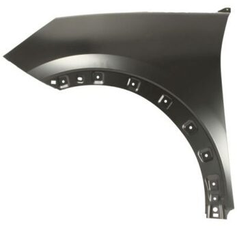 Ford Spatbord 6504042595311P