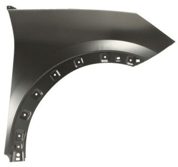 Ford Spatbord 6504042595312P