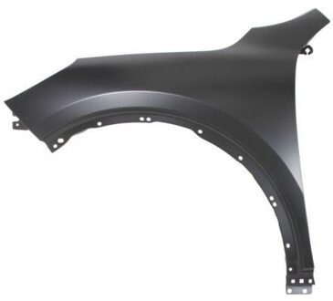 Ford Spatbord 6504042596311Q