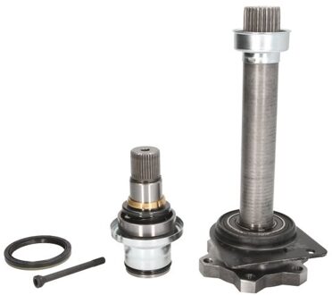 Ford Steekas, differentiaal 1004980244S