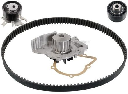 Ford tandriemset 50932722