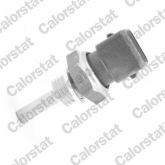 Ford Temperatuursensor WS3002