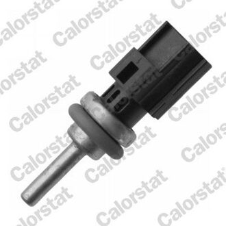 Ford Temperatuursensor WS3087