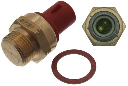 Ford Thermische Schakelaar