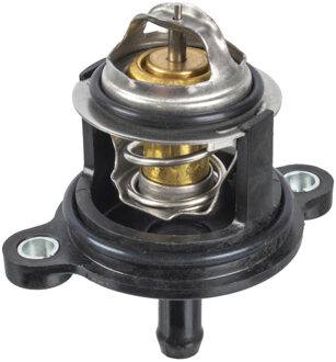 Ford thermostaat 173939
