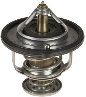 Ford Thermostaat, koelmiddel