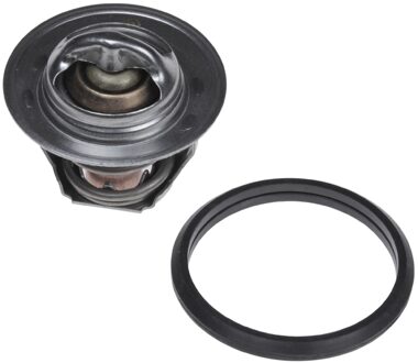 Ford Thermostaat, koelmiddel