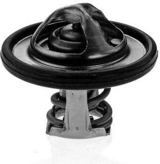 Ford Thermostaat, koelvloeistof 53182K
