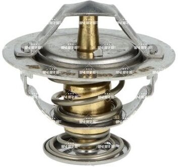 Ford Thermostaat, koelvloeistof 725303