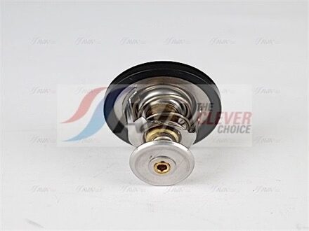 Ford Thermostaat, koelvloeistof FDTS001