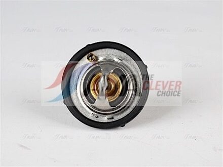 Ford Thermostaat, koelvloeistof FDTS002