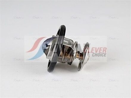 Ford Thermostaat, koelvloeistof FDTS007