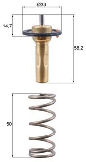 Ford Thermostaat, koelvloeistof TX26589D