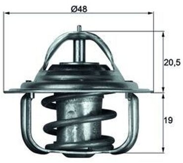 Ford Thermostaat, koelvloeistof TX588D