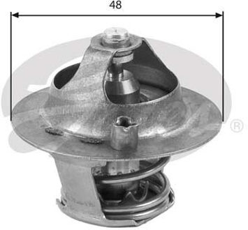 Ford Thermostaat, koelvloeistof