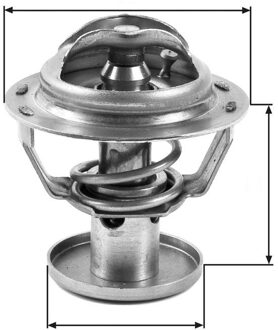 Ford Thermostaat, koelvloeistof