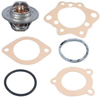 Ford Thermostaat