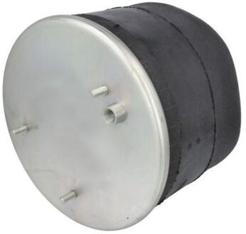 Ford Veerbalg, luchtvering 5002030349