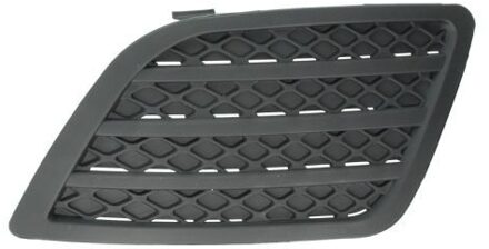 Ford Ventilatiegrille, bumper 5513002564923P