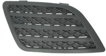 Ford Ventilatiegrille, bumper 5513002564924P