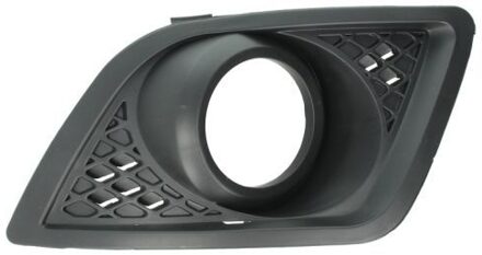 Ford Ventilatiegrille, bumper 5513002564925P