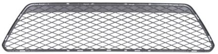 Ford Ventilatiegrille, bumper 6502072533992CC