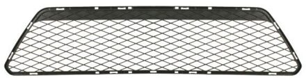 Ford Ventilatiegrille, bumper 6502072533999P