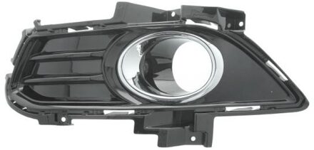 Ford Ventilatiegrille, bumper 6502072558997P