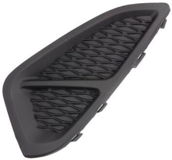 Ford Ventilatiegrille, bumper 6502072566913P