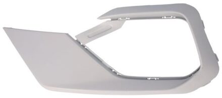 Ford Ventilatiegrille, bumper 6502072567993P