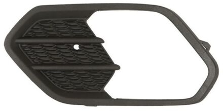 Ford Ventilatiegrille, bumper 6502072579995PP