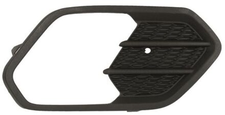 Ford Ventilatiegrille, bumper 6502072579996PP