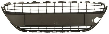 Ford Ventilatiegrille, bumper 6509012565995P