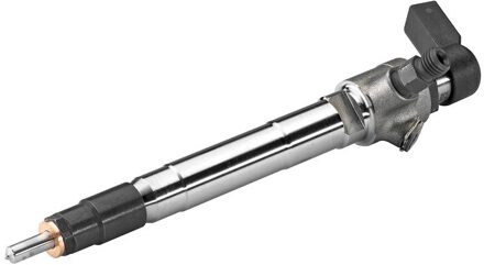 Ford Verstuiver/Injector A2C8139490080